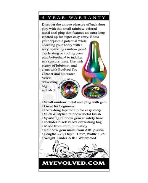 Evolved Male Sex Toys Rainbow Metal Anal Plug Small