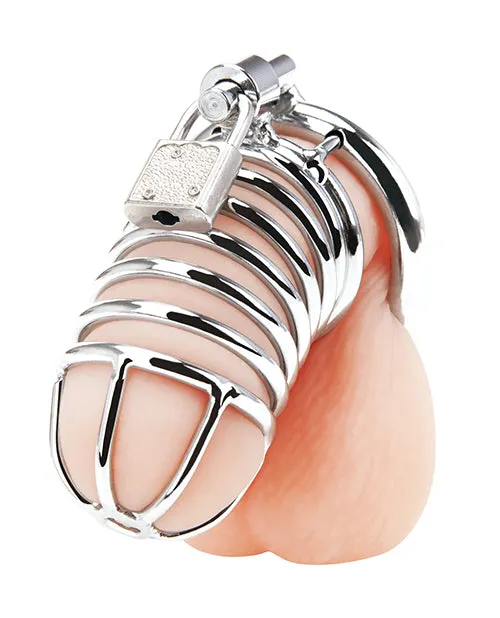 Male Sex Toys Blue Line Cand B Gear Blue Line Deluxe Chastity Cage Silver