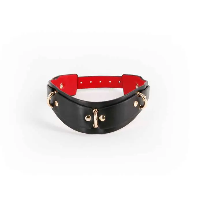 Wild Night Fantasies Anal Fetish Fashion Lilith Black Collar