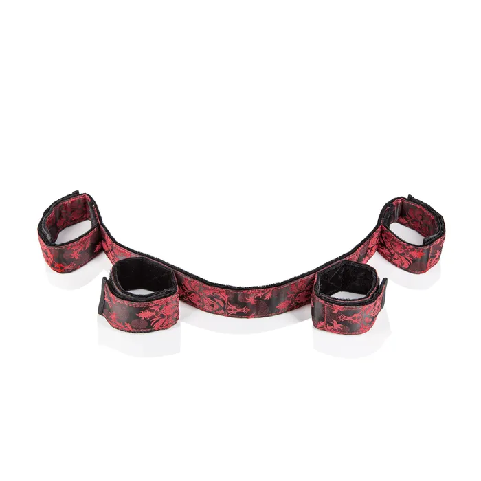 CalExotics Couples Scandal Bondage Bar
