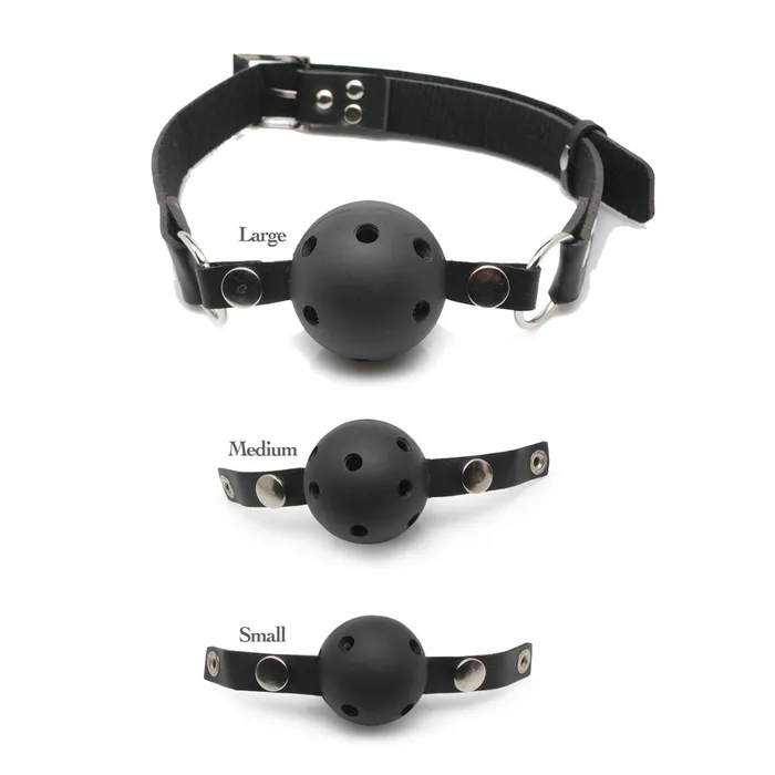 Fetish Fantasy Series Ball Gag Training System PipeDream Male Sex Toys