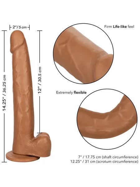 Size Queen 12 in305 CM Brown CalExotics Female Sex Toys