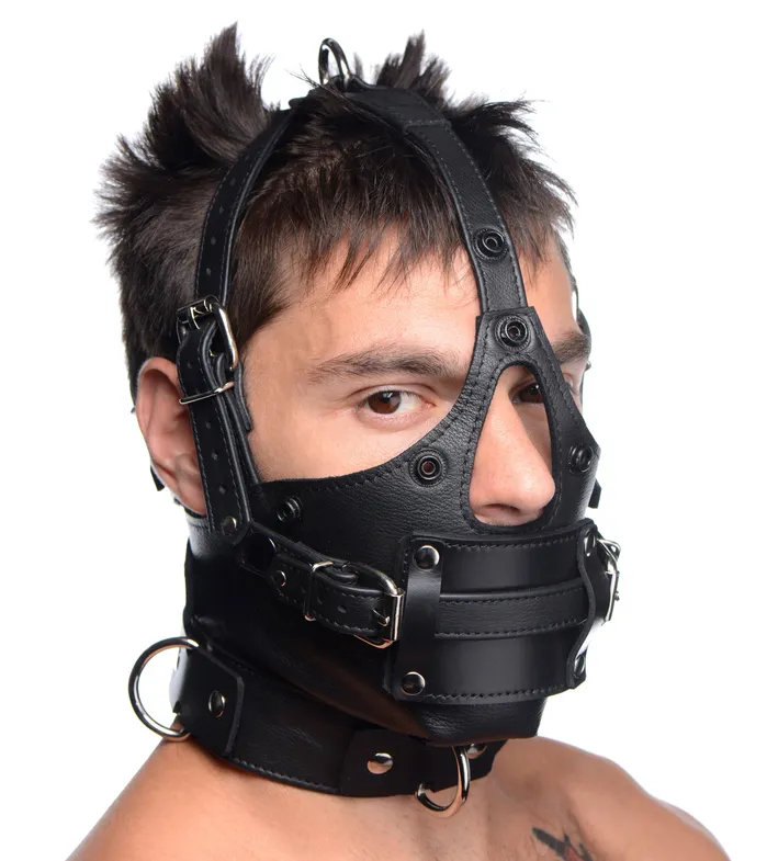 Leather Head Harness with Removeable Gag XR Brands Female Sex Toys